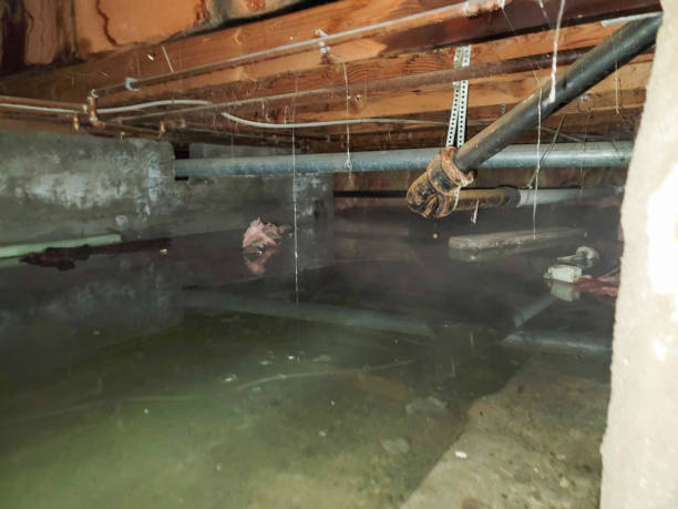 Best 24-hour water damage restoration  in Hauser, ID