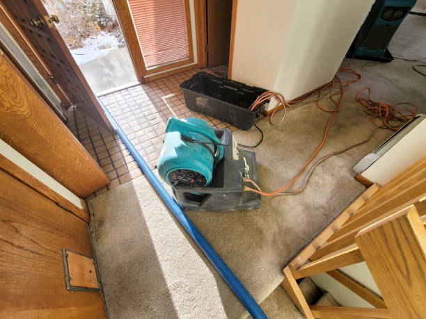 Best Carpet water damage restoration  in Hauser, ID
