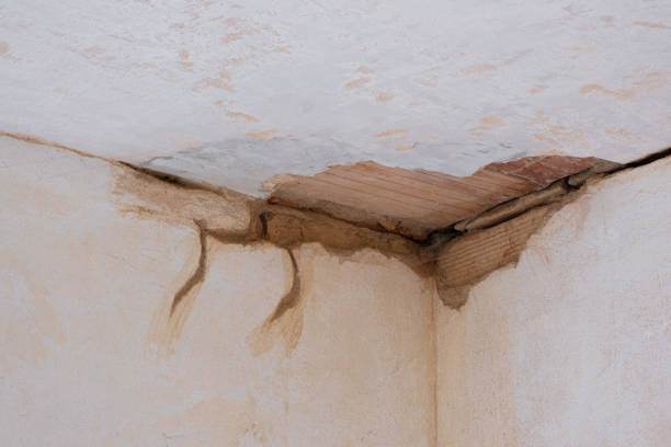 Best Ceiling water damage repair  in Hauser, ID