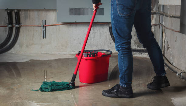 Best Flood restoration services  in Hauser, ID