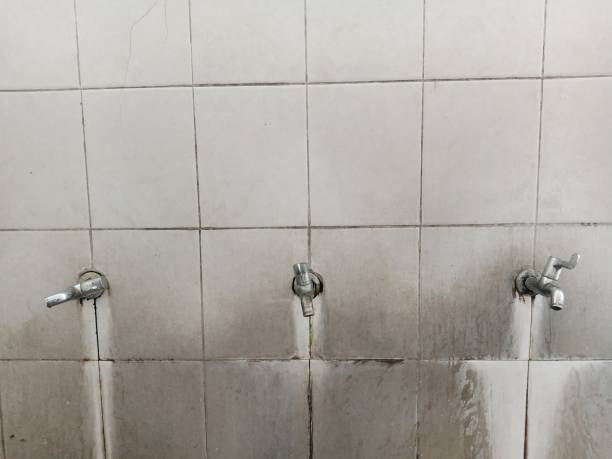 Best Flood damage cleanup  in Hauser, ID