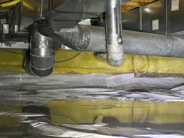 Best Professional water damage repair  in Hauser, ID