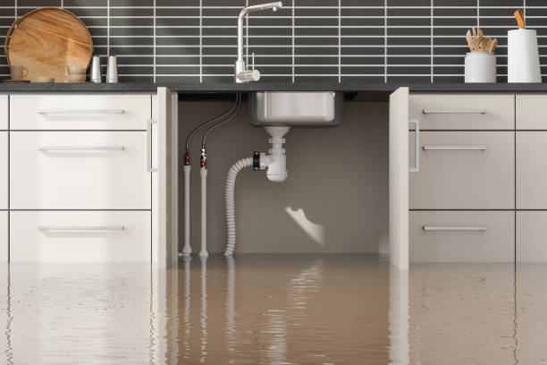 Best Sewage cleanup and water damage restoration  in Hauser, ID