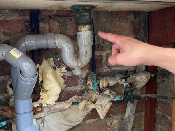 Best Water damage restoration company  in Hauser, ID